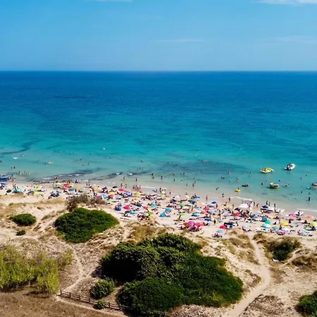 View Torre Pali